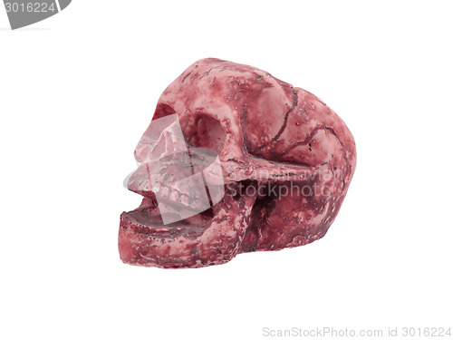 Image of Single old skull isolated