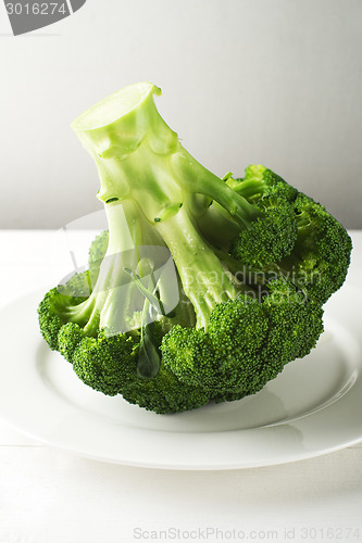 Image of Broccoli