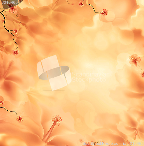 Image of Floral Background