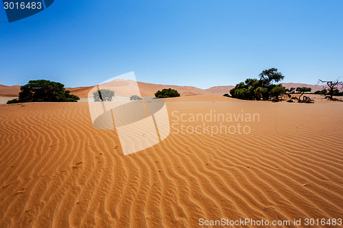 Image of beautiful landscape of Hidden Vlei in Namib desert 