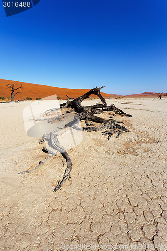 Image of beautiful landscape of Hidden Vlei in Namib desert 