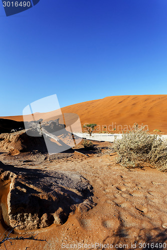 Image of beautiful landscape of Hidden Vlei in Namib desert 