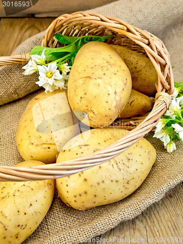 Image of Potatoes yellow with flower in basket on sacking