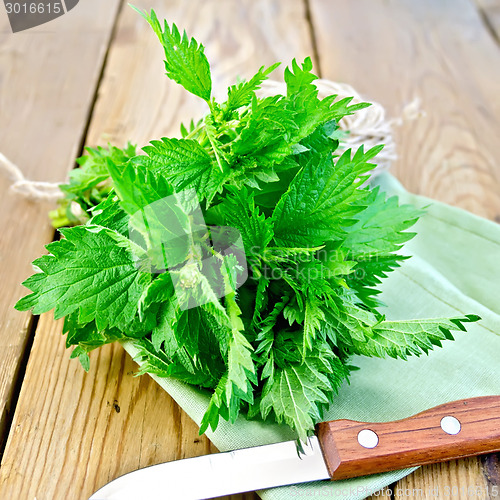 Image of Nettles with knife on napkin