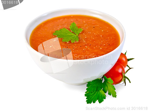 Image of Soup tomato in white bowl with parsley and tomatoes