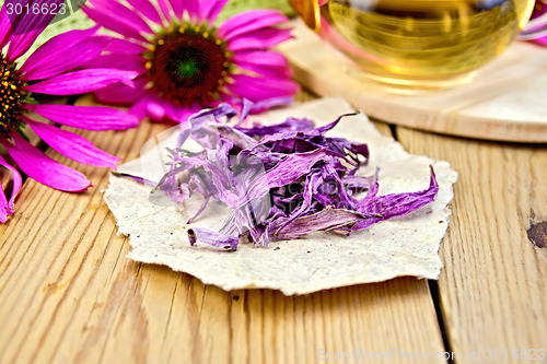 Image of Echinacea dried on paper with flowers