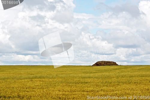 Image of Grain field with haystacks