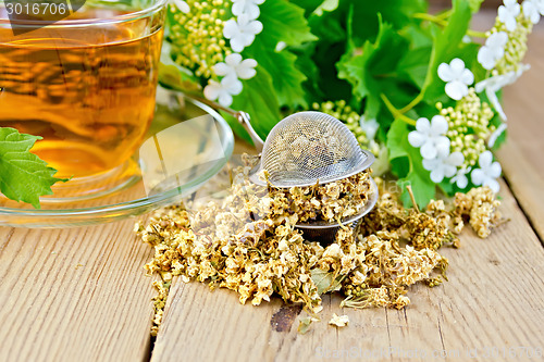 Image of Tea from flowers of viburnum in glass cup and strainer on board