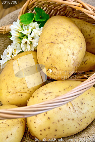 Image of Potatoes yellow in basket with flower on board