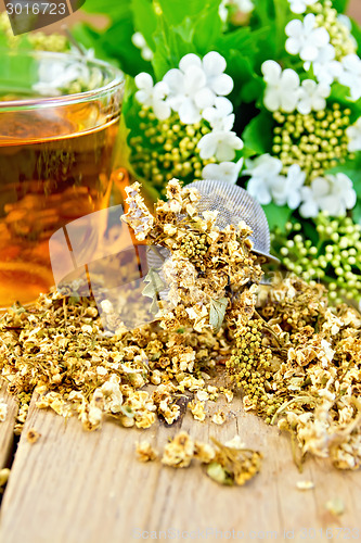 Image of Tea from flowers of viburnum in strainer on board