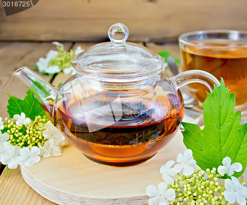 Image of Tea from flowers of viburnum in glass teapot on board