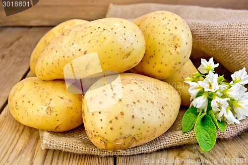 Image of Potatoes yellow with flower on sacking