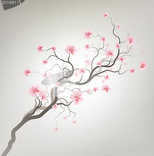Image of Sakura