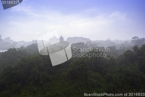 Image of Tropical Rain.