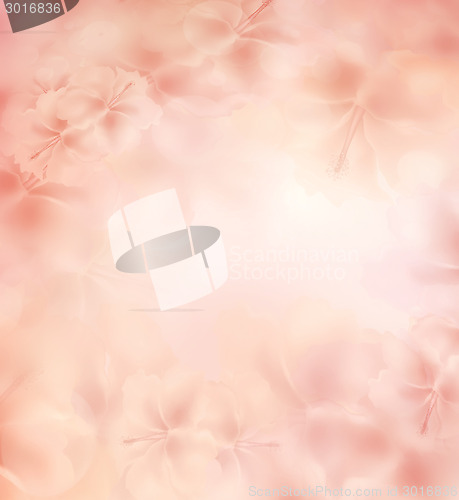 Image of Floral Background