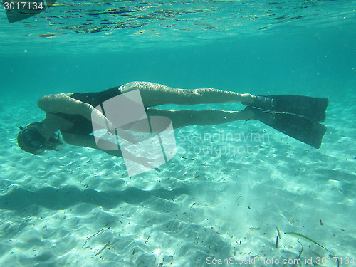 Image of Female swimmer diving underwater in ocean