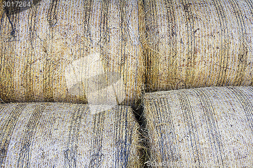 Image of Bales of hay