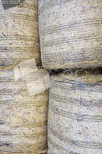 Image of Hay bales