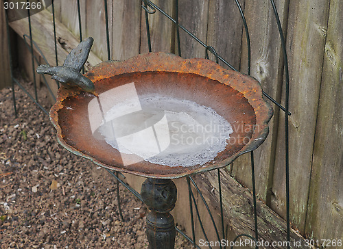 Image of Frozen Bird Bath