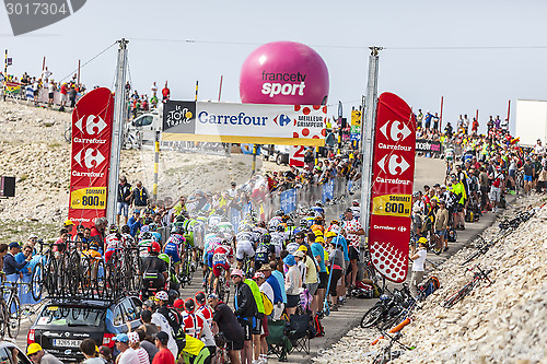 Image of The Peloton on Ventoux Mountain