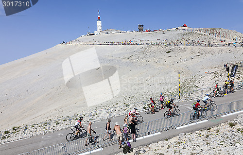 Image of Amateur Cyclists on Mont Ventoux