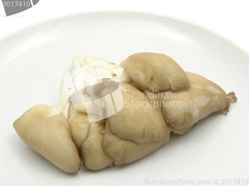 Image of Oyster mushrooms on a white plate of chinaware