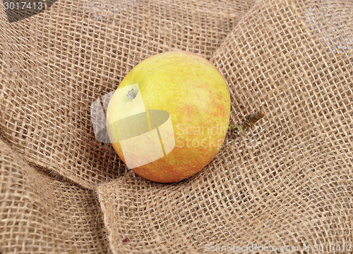 Image of Apple on jute