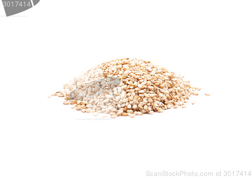 Image of Sesame on white