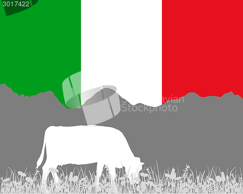 Image of Cow alp and italian flag