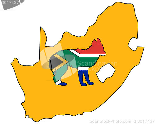 Image of Jackal from South Africa