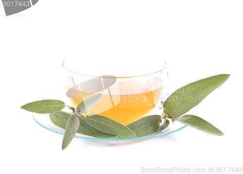 Image of Sage tea