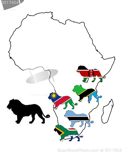 Image of Africa lions