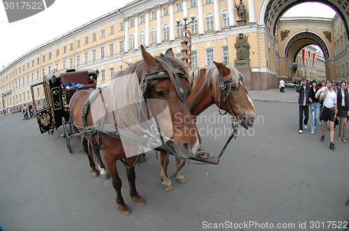 Image of Carriage near the Hermitage in St. Petersburg