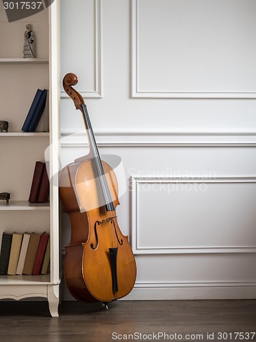 Image of Cello in classical interior with bookshelf