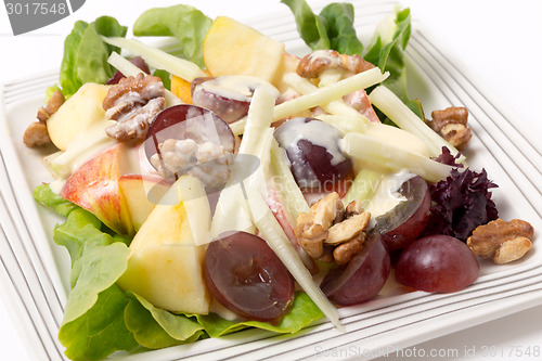Image of Waldorf salad over white closeup