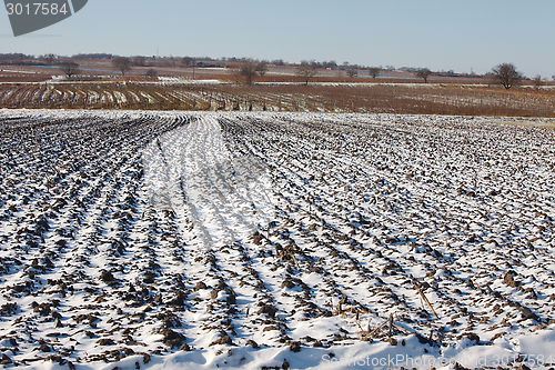 Image of Snowy field