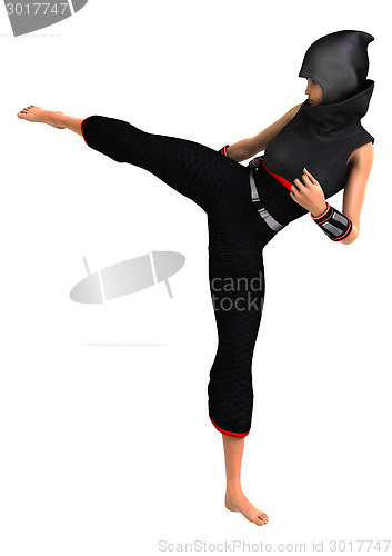 Image of Ninja