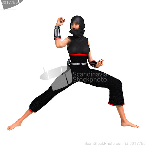 Image of Ninja