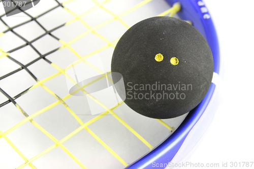 Image of Squash Ball on Racket