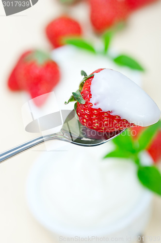 Image of organic Greek yogurt and strawberry