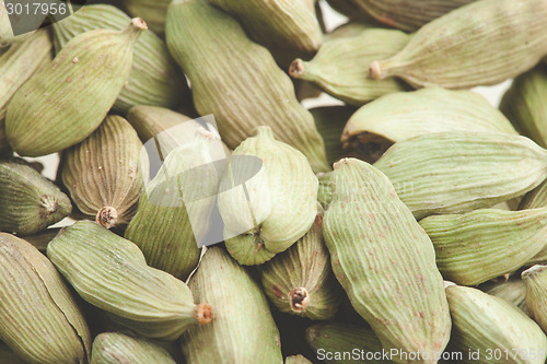 Image of Green cardamom pods