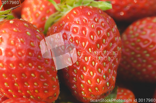 Image of Garden strawberries close-up