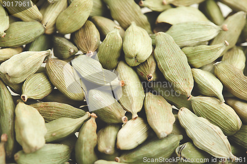 Image of Green cardamom pods