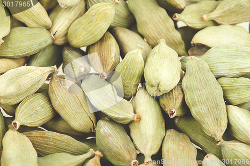 Image of Green cardamom pods