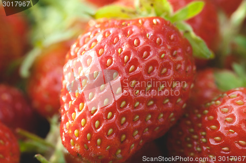 Image of Garden strawberries close-up