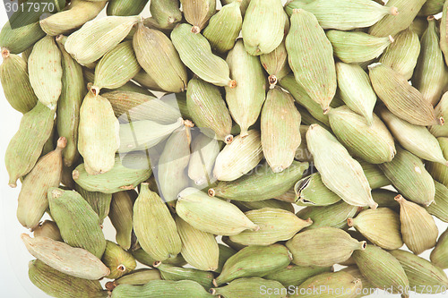 Image of Green cardamom pods