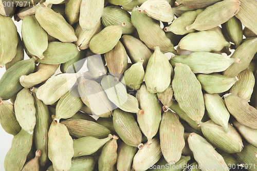 Image of Green cardamom pods