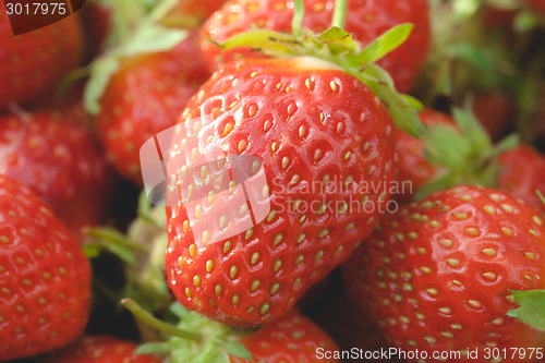 Image of Garden strawberries close-up