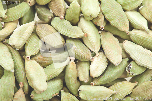 Image of Green cardamom pods