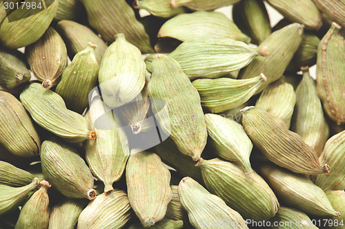 Image of Green cardamom pods